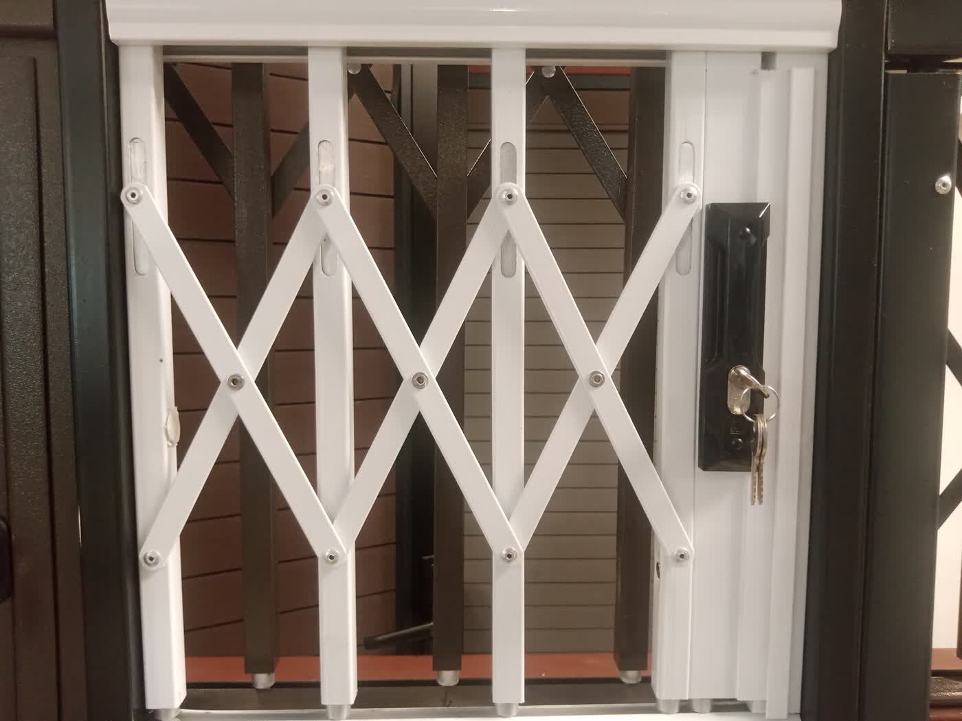 White expandable steel security gate (trellidor-style) on a front door — Tshipiworks